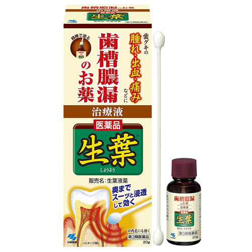 생엽 약액타입 20g  【제3류의약품】68243■