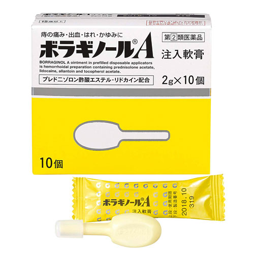 보라기놀A 주입연고 치질약 치질연고 2g×10개입 주입형