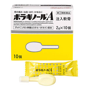 보라기놀A 주입연고 치질약 치질연고 2g×10개입 주입형