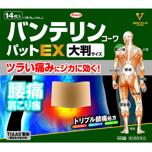 반테린 코와패드EX (대형) 14장 근육통 관절통 