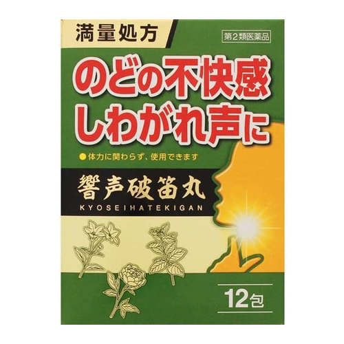 향성파적환(響声破笛丸)과립 12포 목통증 쉰목 목불쾌감